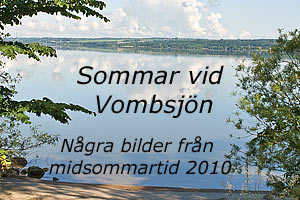 Sommar vid Vombsjn