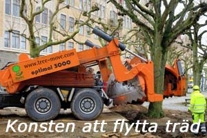 Konsten att flytta tr�d.