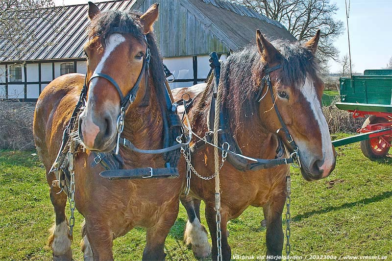 V&aring;rbruk vid H&ouml;rjelg&aring;rden