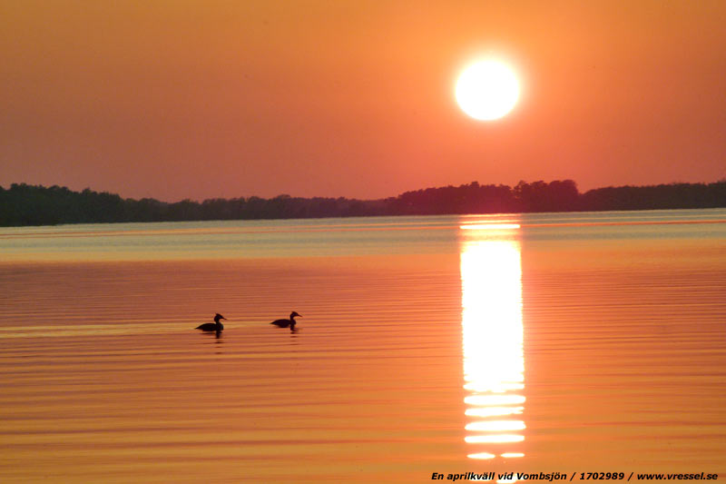Aprilkv&auml;ll vid Vombsj&ouml;n.