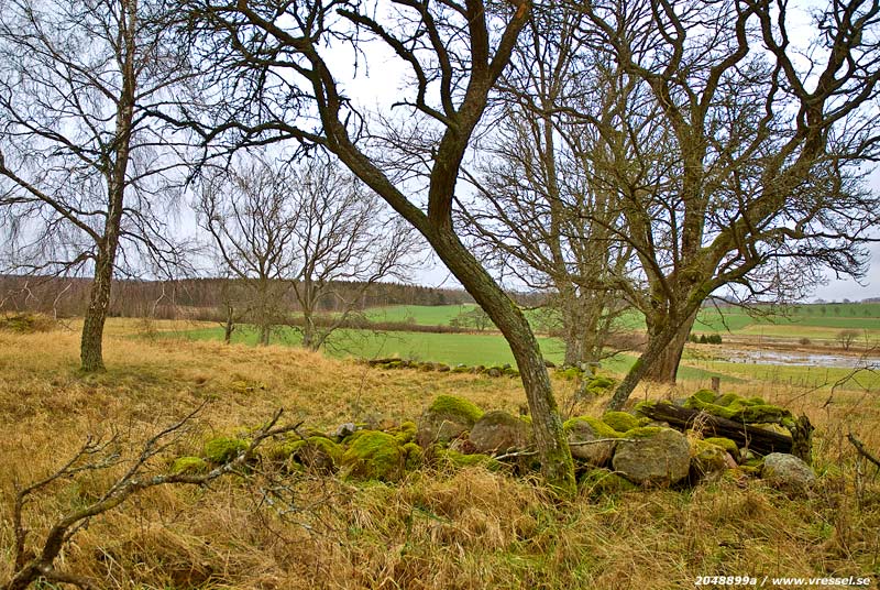 Sk&aring;nsk vinter.