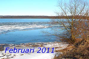 Februari 2011