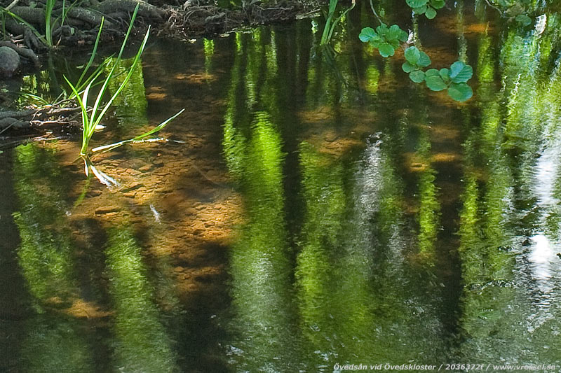 &Ouml;veds&aring;n vid &Ouml;vedskloster.