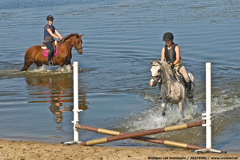 H&auml;star med ryttare.