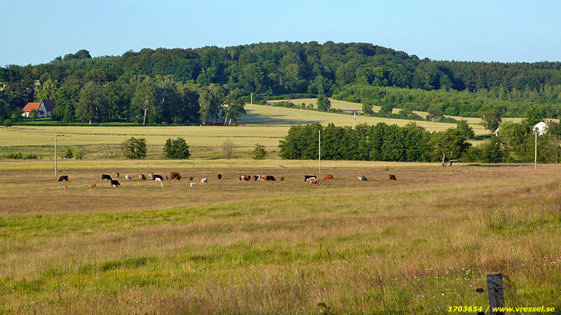 Utsikt mot Torps by.