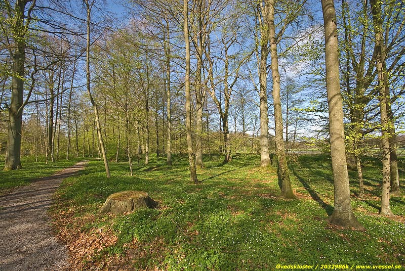 En park vid &Ouml;vedskloster