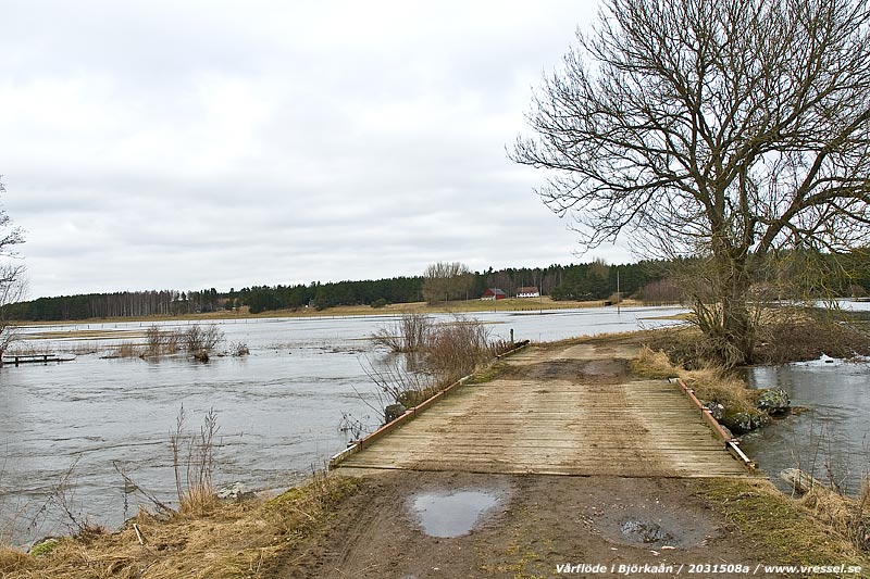 V&aring;rfl&ouml;de i Bj&ouml;rka&aring;n