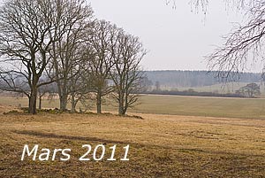 Mars 2011
