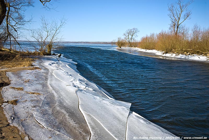 Bj&ouml;rka&aring;ns mynning.