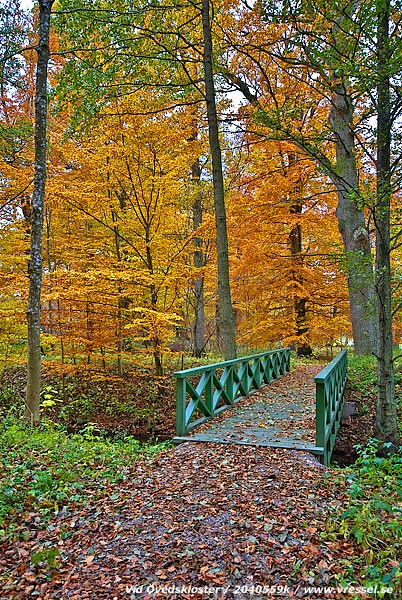 En g&aring;ngbro &ouml;ver &Ouml;veds&aring;n vid &Ouml;vedskloster.