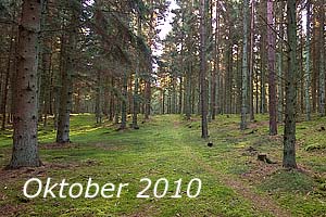 Oktober 2010