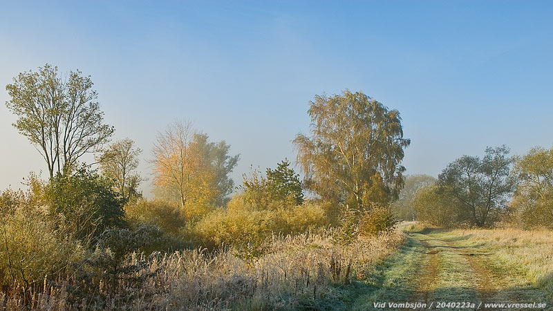 En v&auml;g vid Vombsj&ouml;n.