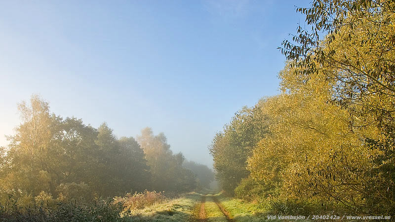 En v&auml;g vid Vombsj&ouml;n.