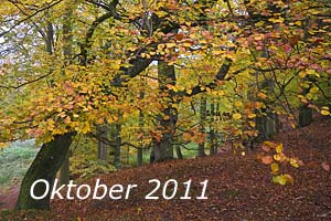 Oktober 2011