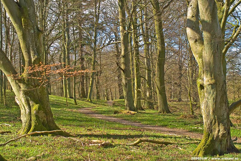 Engelska parken, Övedskloster.