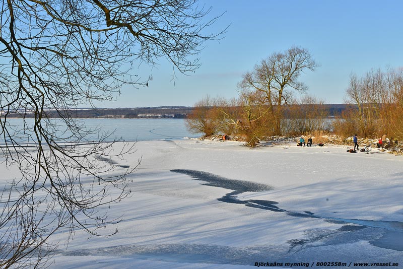 Vid Bj�rka�ns mynning.