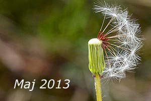 Maj 2013
