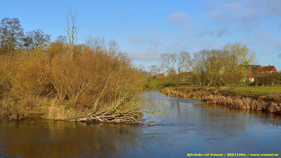 Bj&ouml;rka&aring;n vid Vressel.