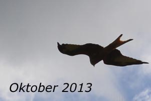 Oktober 2013