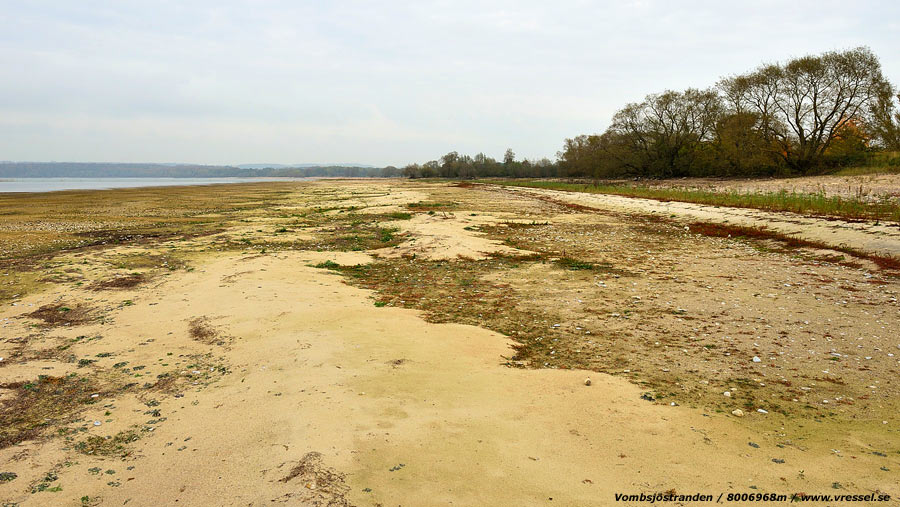 Vombsj&ouml;stranden