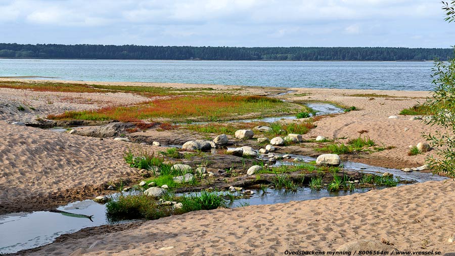 &Ouml;vedsb&auml;ckens mynning.