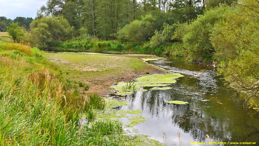 Bj&ouml;rka&aring;n vid Vressel.