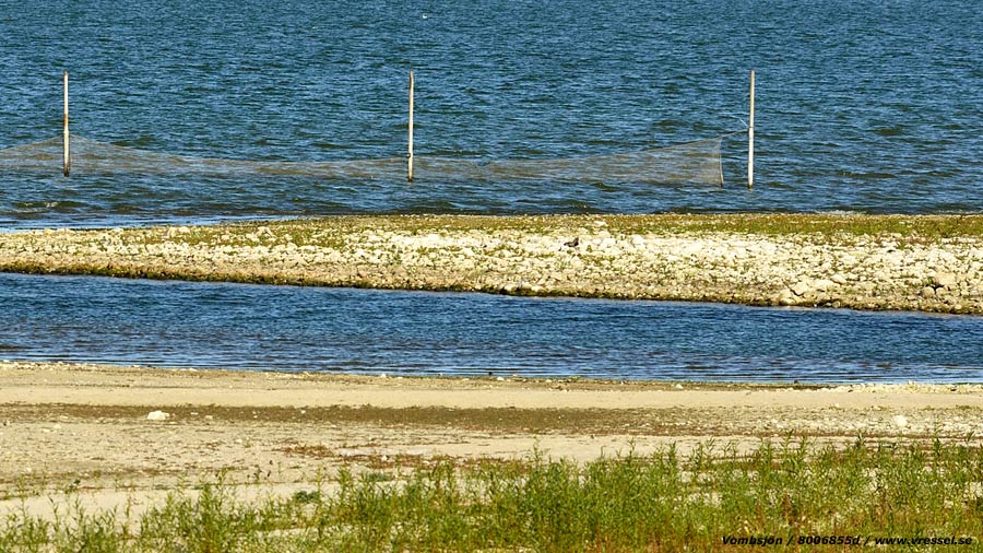 Fiske i Vombsj&ouml;n.